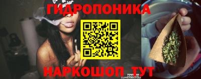 амф Тверь
